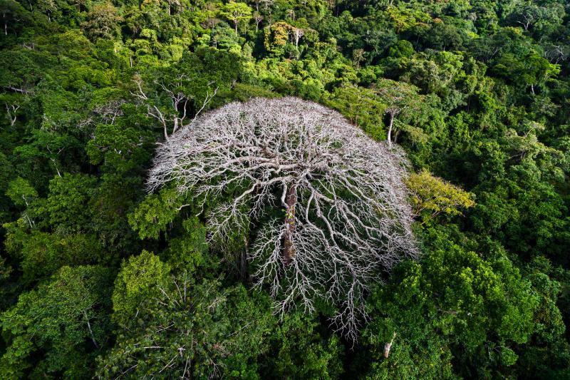  - Omega x Yann-Arthus Bertrand | Photos du film Legacy